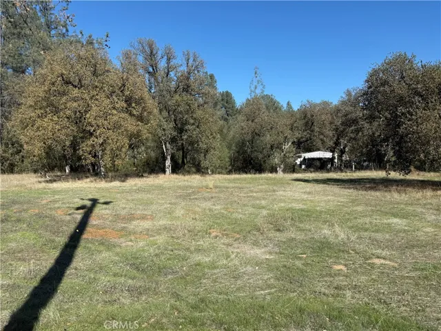 16712 Stagecoach Rd, Corning, California 96021