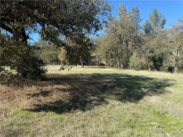 16712 Stagecoach Rd, Corning, California 96021