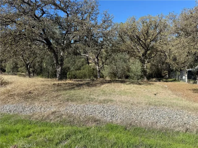 16712 Stagecoach Rd, Corning, California 96021