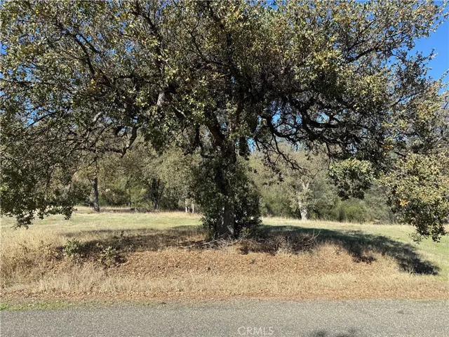 16712 Stagecoach Rd, Corning, California 96021
