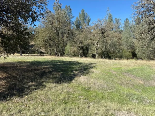 16712 Stagecoach Rd, Corning, California 96021