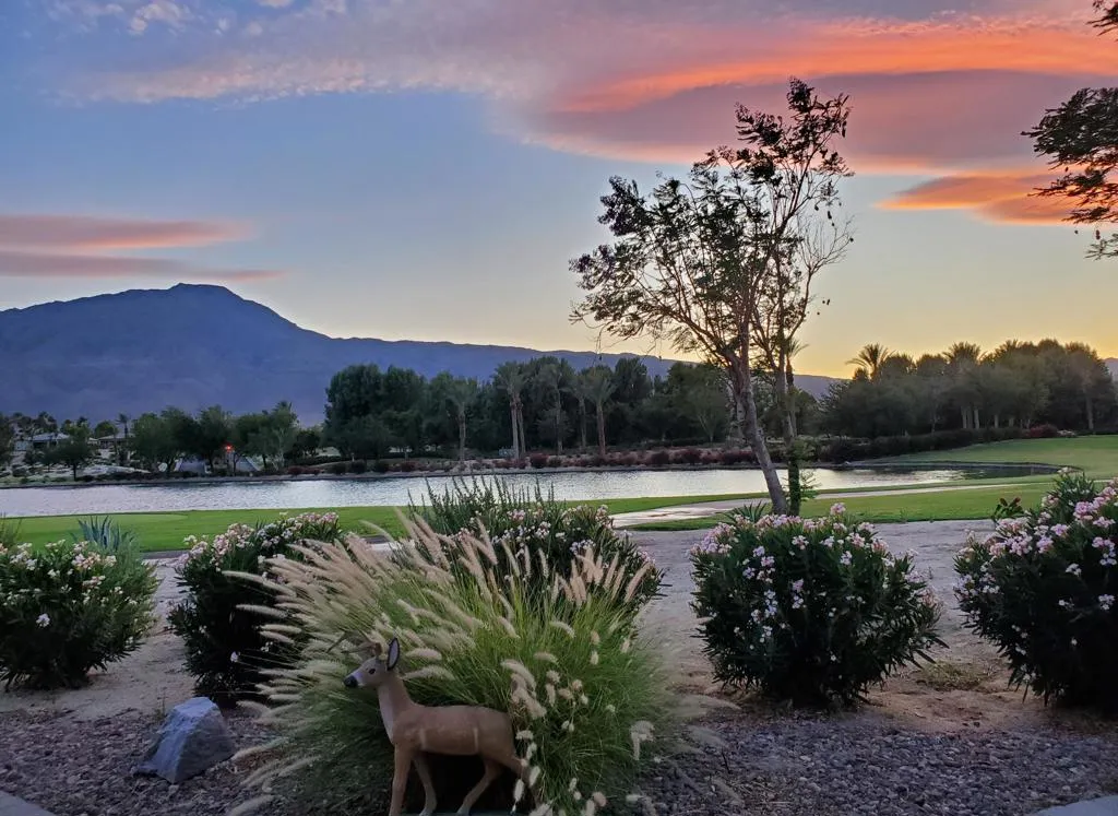 60553 Juniper Lane, La Quinta, California 92253 home-pic-9