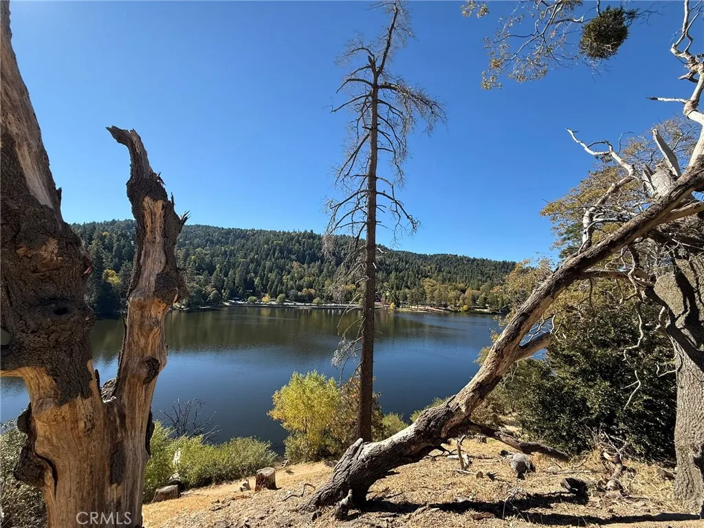 23489 Lake, Crestline, California 92325 home-pic-17