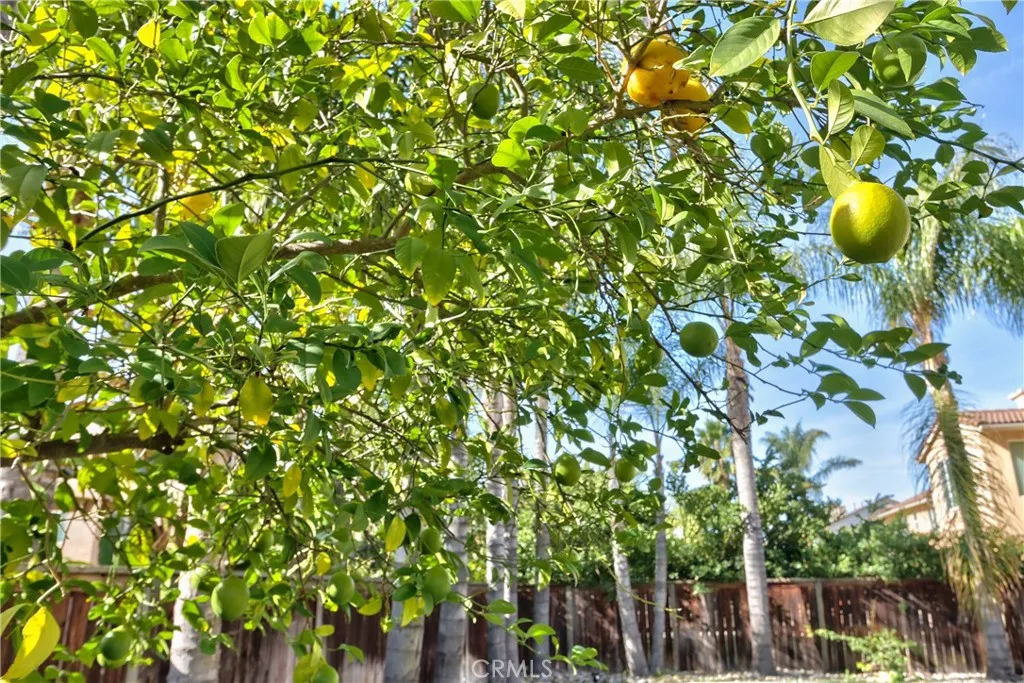 29419 Shady, Murrieta, California 92563 home-pic-53