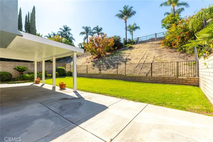 Back Yard / Patio