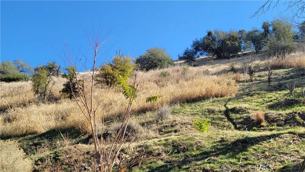 516 South, Lebec, California 93243 home-pic-26