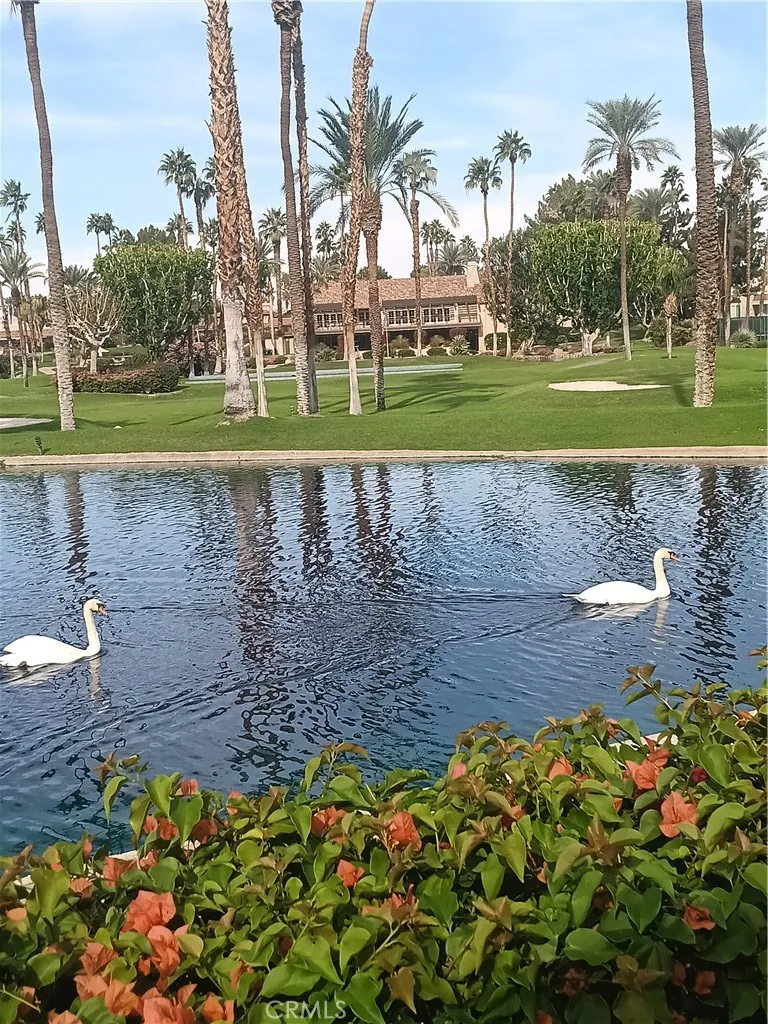 127 Lake Shore Drive, Rancho Mirage, California 92270 home-pic-24