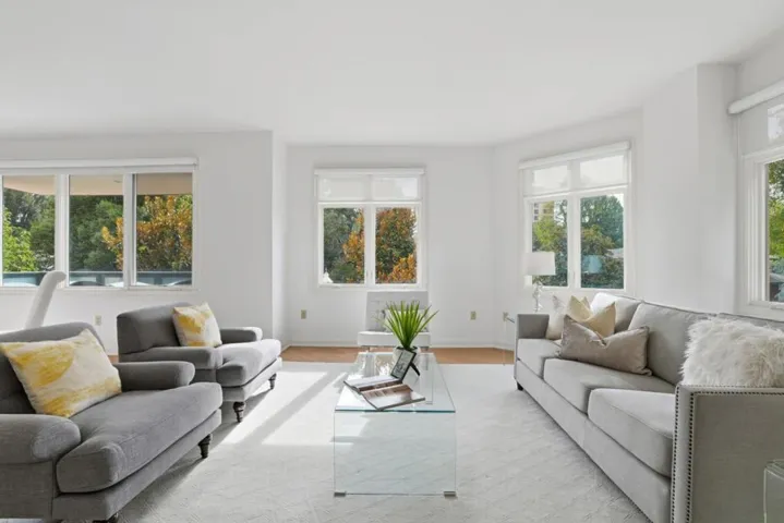 10 Crystal Springs Road 1206, San Mateo, California 94402