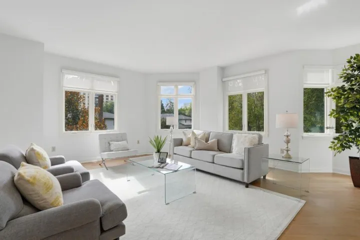 10 Crystal Springs Road 1206, San Mateo, California 94402