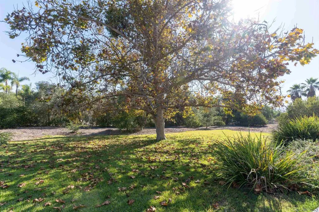 3121 Alta Verde, Fallbrook, California 92028 home-pic-27