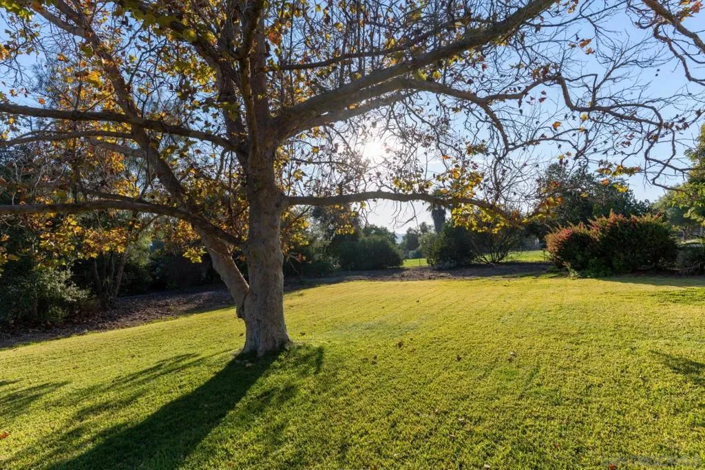 3121 Alta Verde, Fallbrook, California 92028 home-pic-26