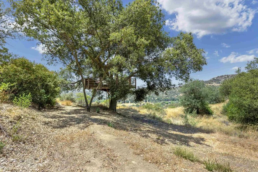 17368 Skyline Truck Trail, Jamul, California 91935 home-pic-31