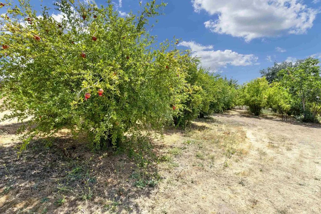 17368 Skyline Truck Trail, Jamul, California 91935 home-pic-27
