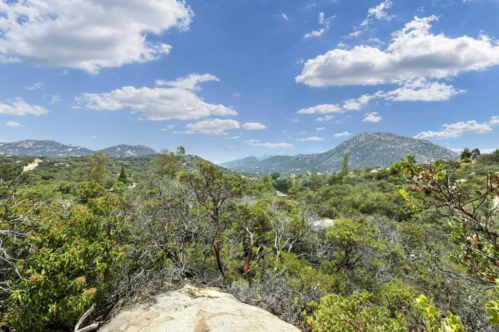17368 Skyline Truck Trail, Jamul, California 91935 home-pic-21