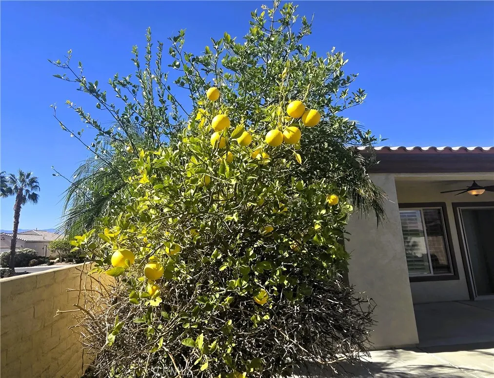 40188 Calle Ebano, Indio, California 92203 home-pic-28