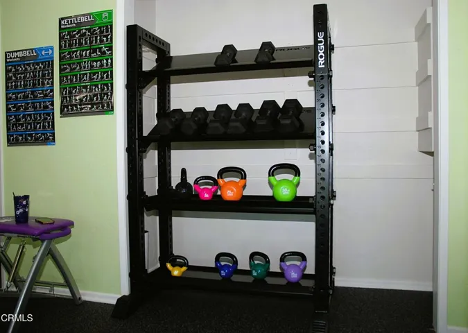 69)  Gym Weights
