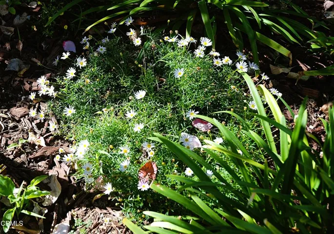 36)-topaz-sharpen-lighting-color