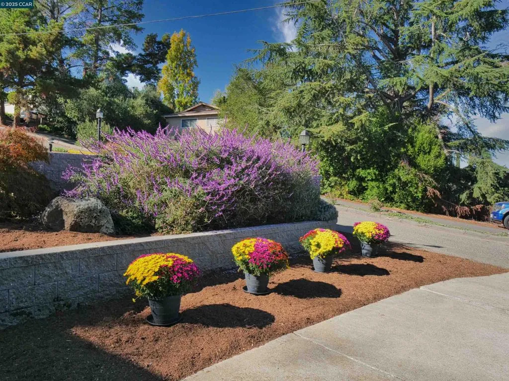 4044 Cowell Road, Concord, California 94521 home-pic-54