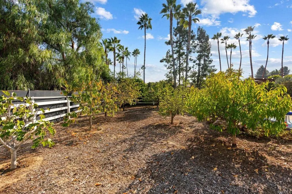 612 Lucylle Lane, Encinitas, California 92024 home-pic-5