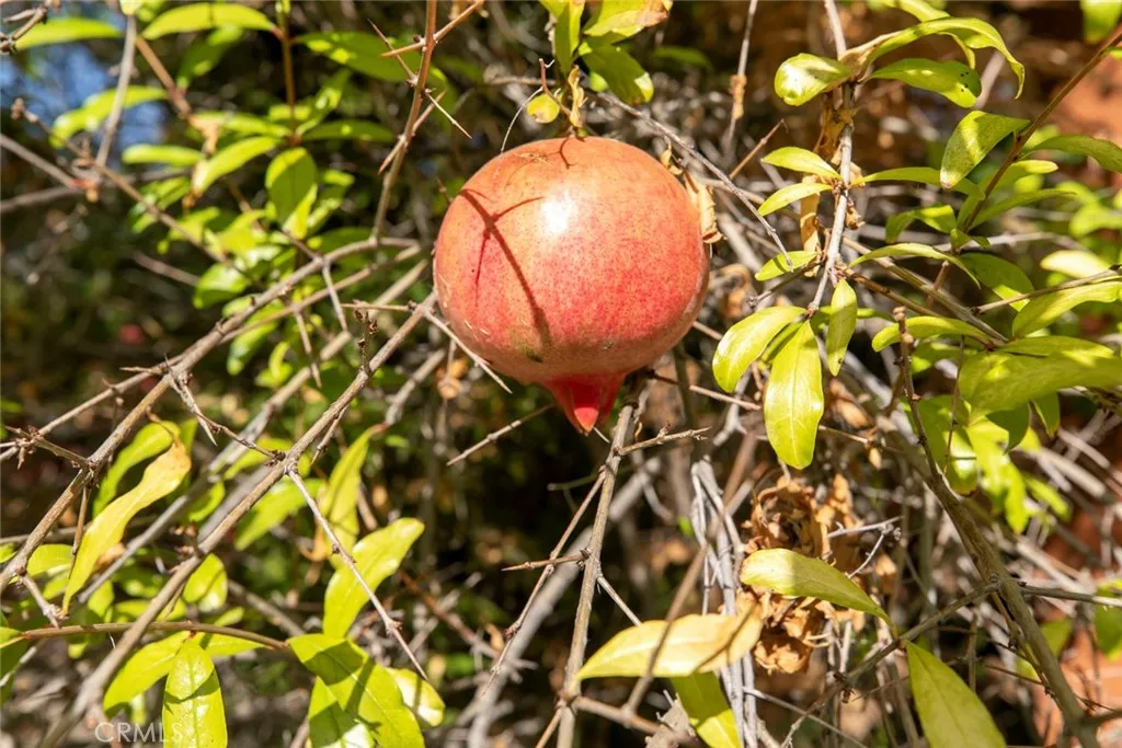 7419 Kraft, North Hollywood, California 91605 home-pic-19