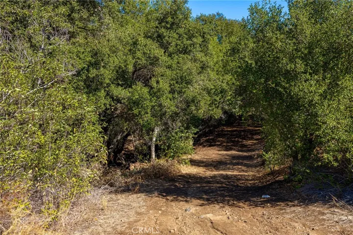 1 Camino Estribo, Temecula, California 92590