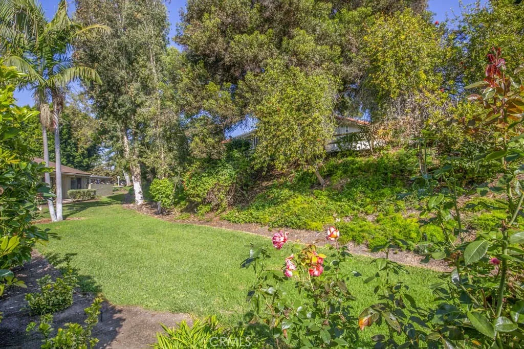 3255 San Amadeo B, Laguna Woods, California 92637 home-pic-28