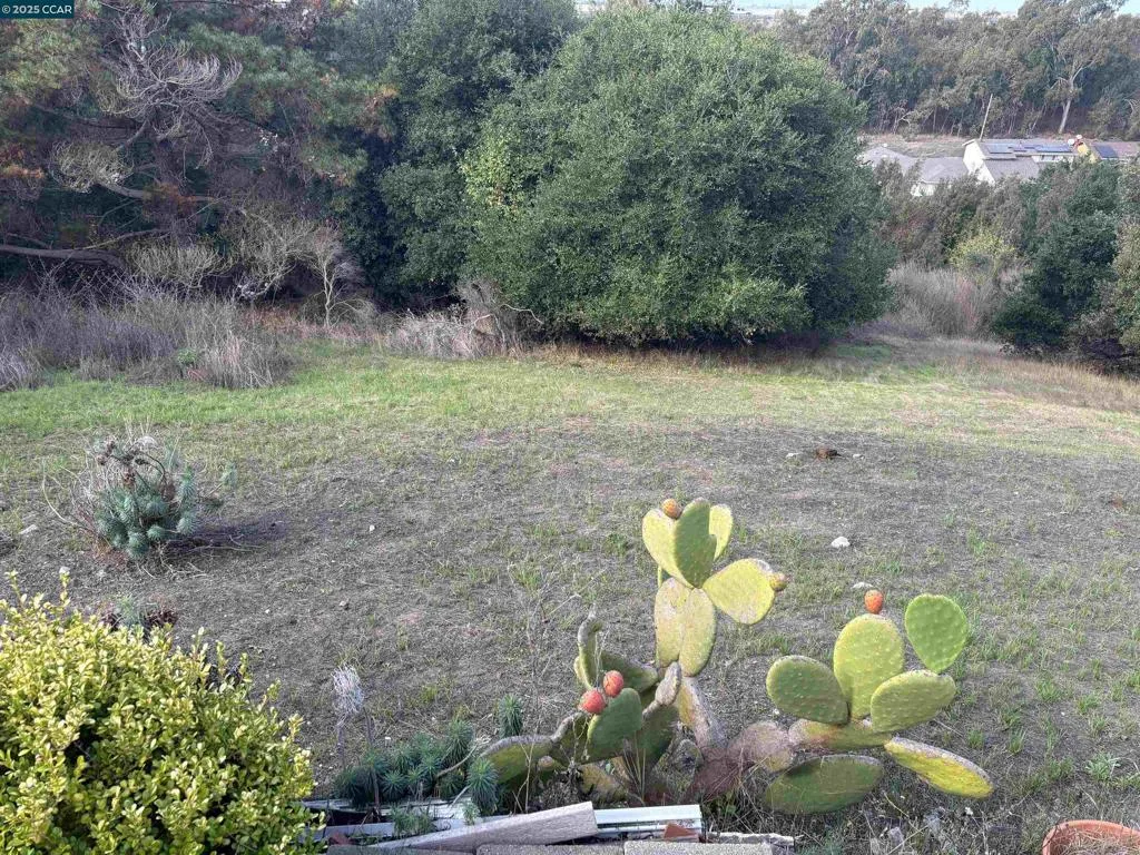 965 Parkside Drive, El Sobrante, California 94603 home-pic-17