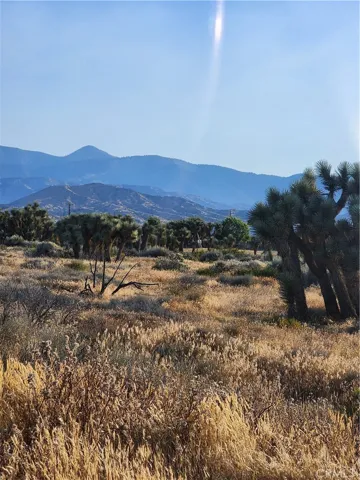 0 Acanthus, Phelan, California 92371