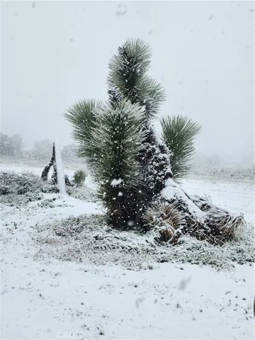 0 Acanthus, Phelan, California 92371
