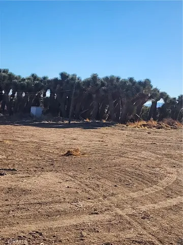 0 Acanthus, Phelan, California 92371