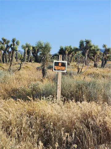 0 Acanthus, Phelan, California 92371