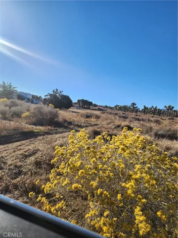 0 Acanthus, Phelan, California 92371