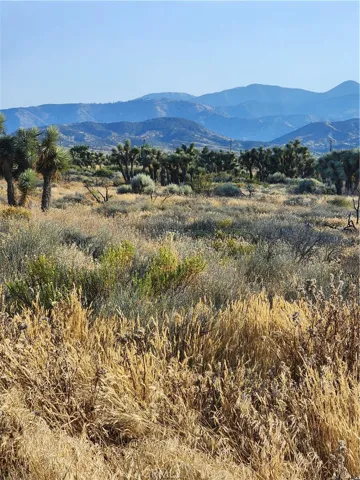 0 Acanthus, Phelan, California 92371