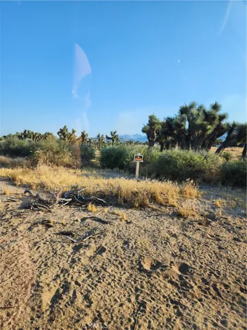 0 Acanthus, Phelan, California 92371