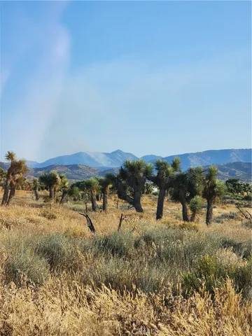 0 Acanthus, Phelan, California 92371