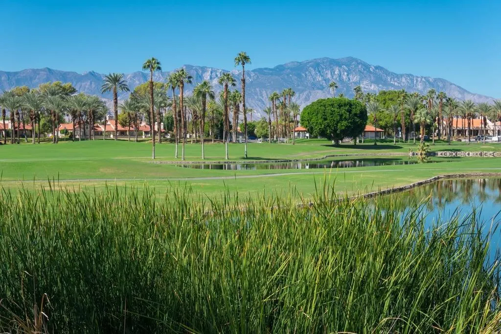 678 Vista Lago Circle N, Palm Desert, California 92211 home-pic-45