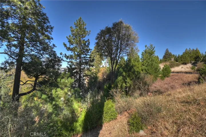 115 Mill Pond, Lake Arrowhead, California 92352