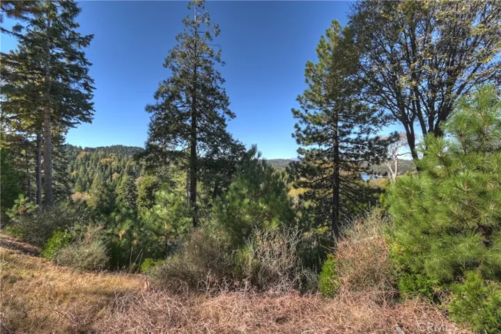115 Mill Pond, Lake Arrowhead, California 92352
