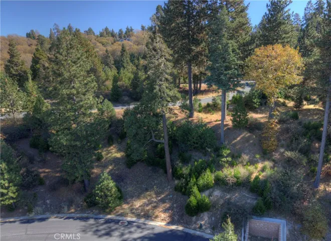 115 Mill Pond, Lake Arrowhead, California 92352
