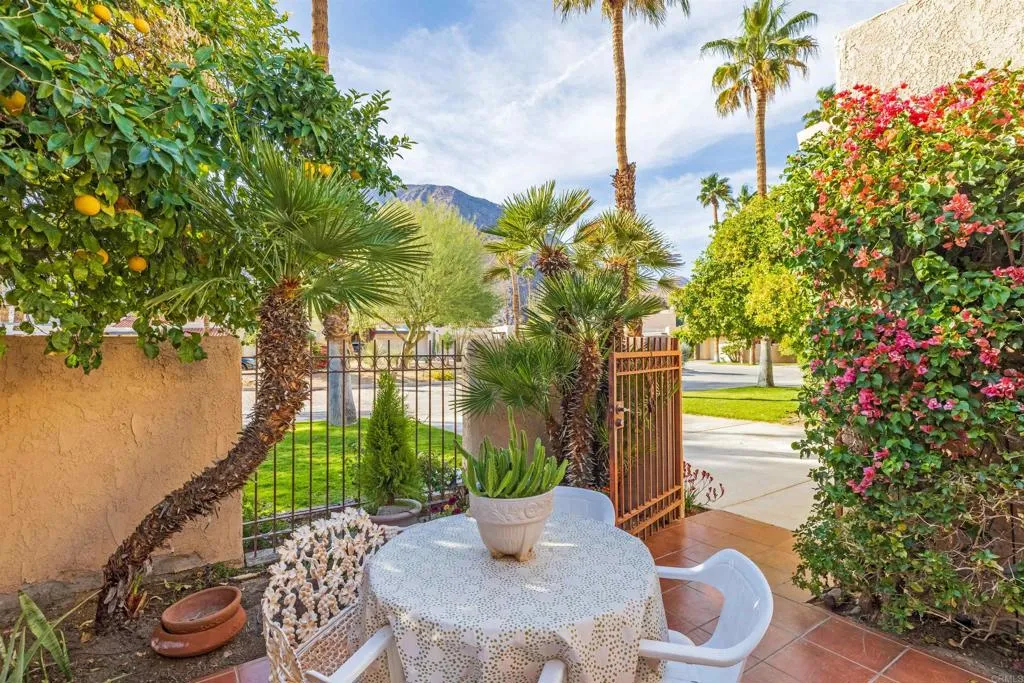 202 Pointing Rock Drive 6, Borrego Springs, California 92004 home-pic-3