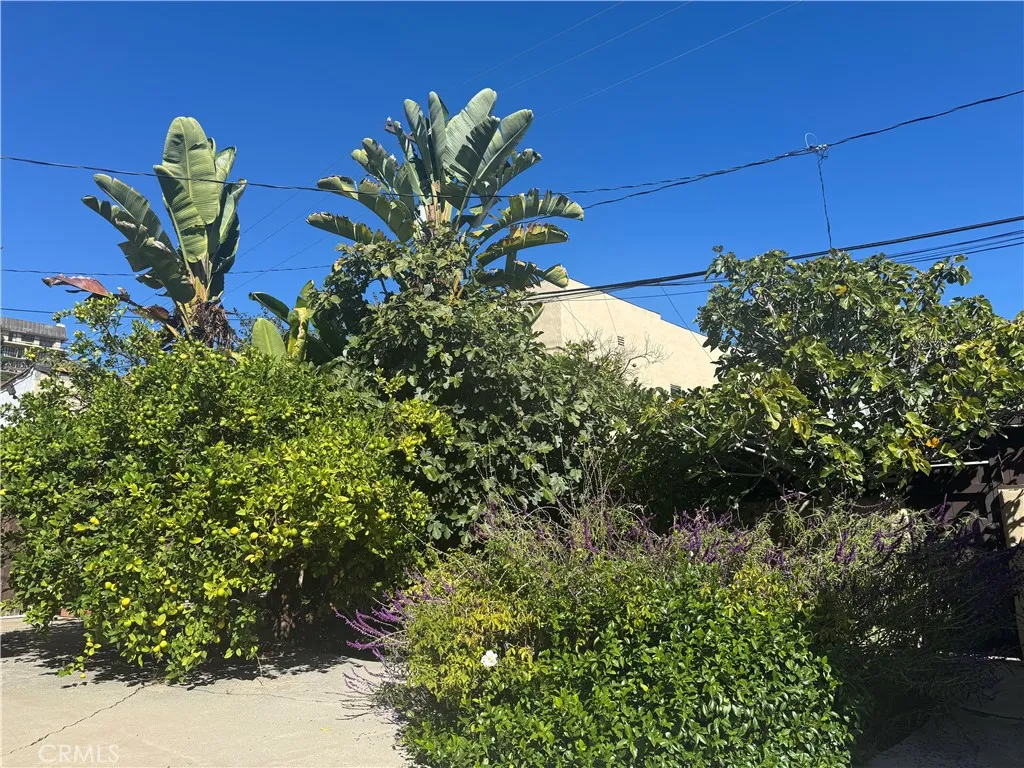 212 S Rodeo, Beverly Hills, California 90212 home-pic-21