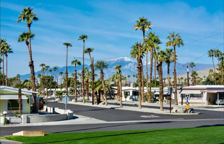 84 TRI PALM ESTATE ENTRANCE