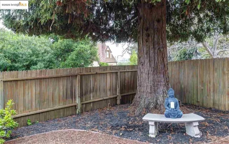 View of fenced backyard