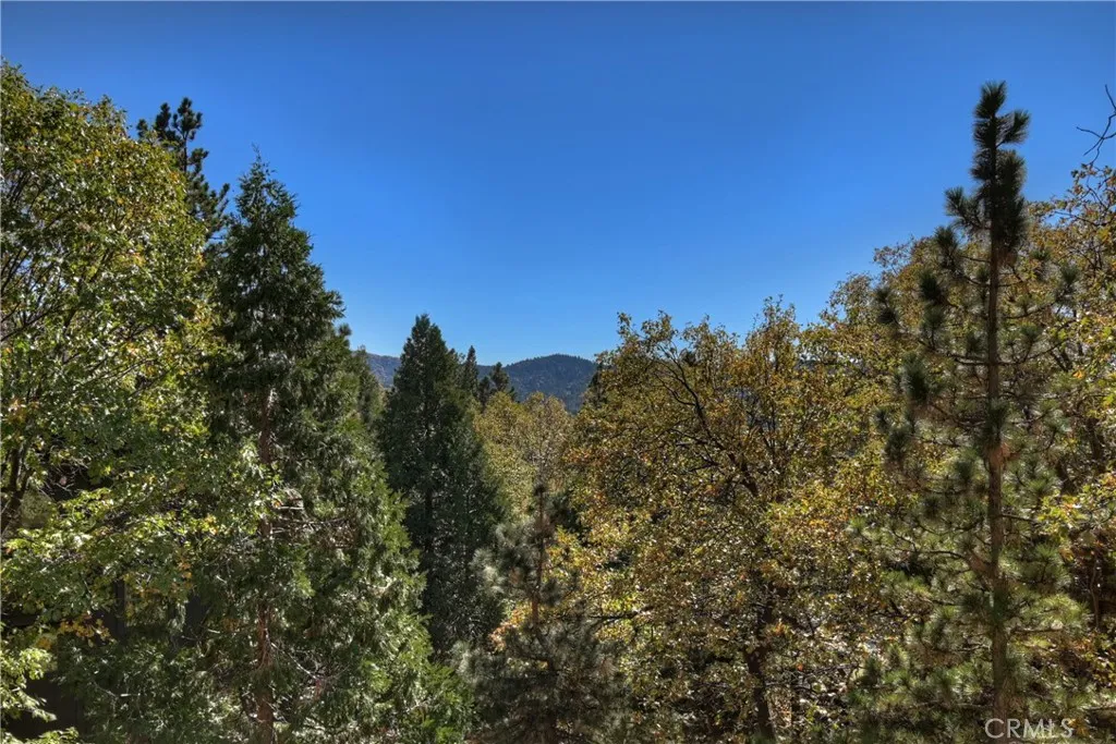 27721 St Bernard Lane, Lake Arrowhead, California 92352 home-pic-38