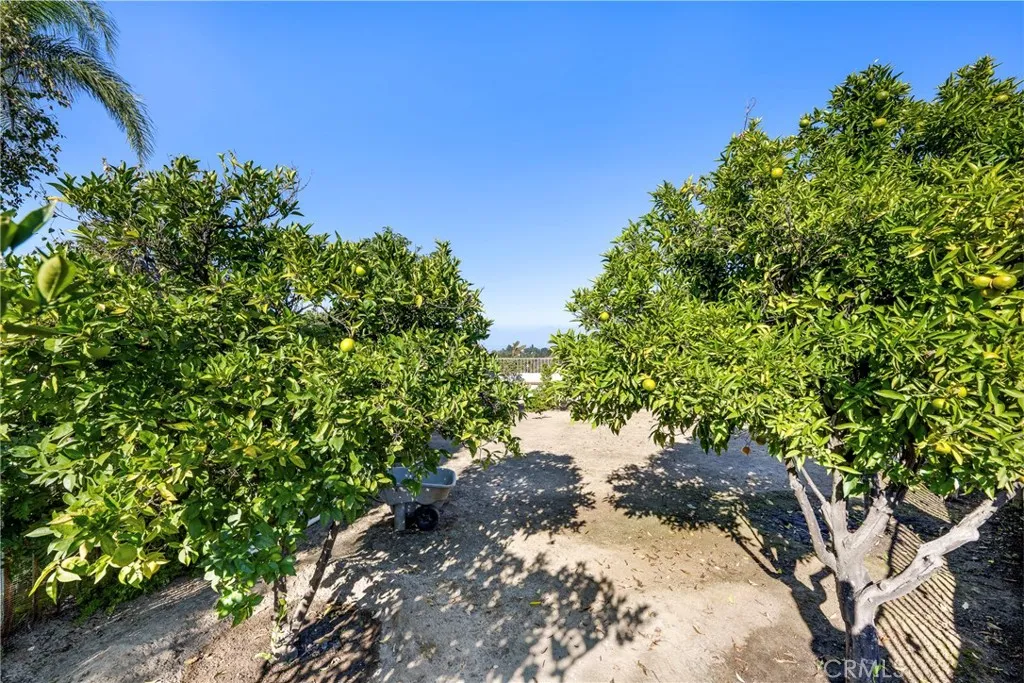 2604 Rudy St, Rowland Heights, California 91748 home-pic-27