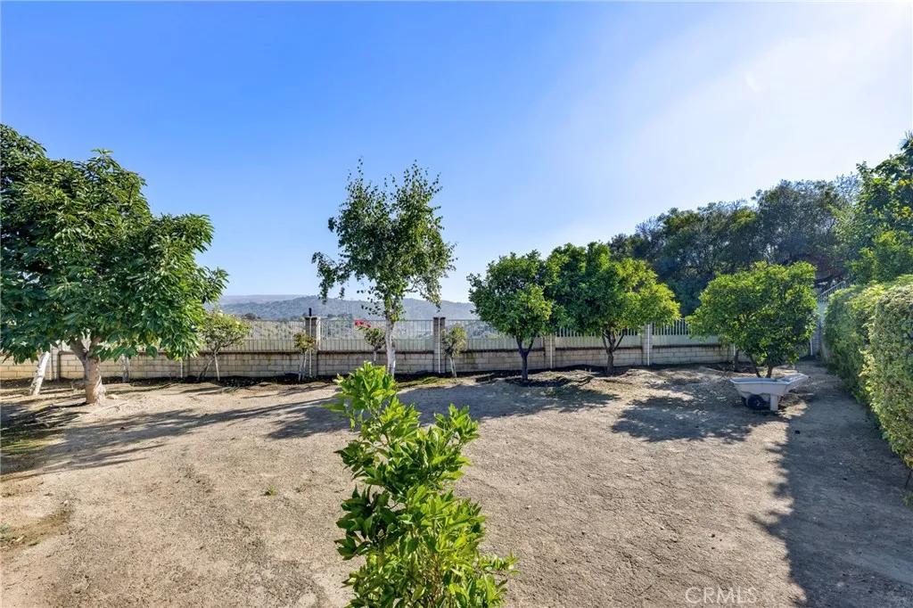 2604 Rudy St, Rowland Heights, California 91748 home-pic-30