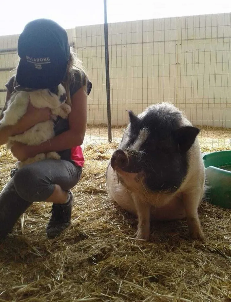 58562 Applegate Way, Landers, California 92285 home-pic-27