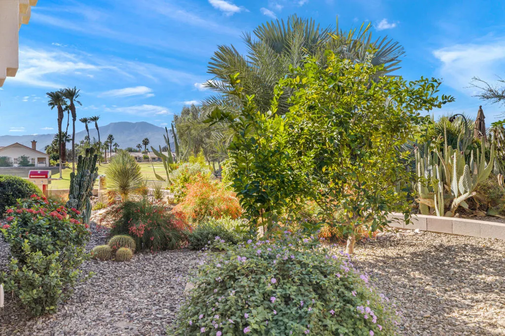 38801 Brandywine Avenue, Palm Desert, California 92211 home-pic-35