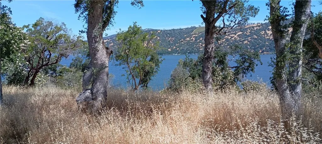 Build site