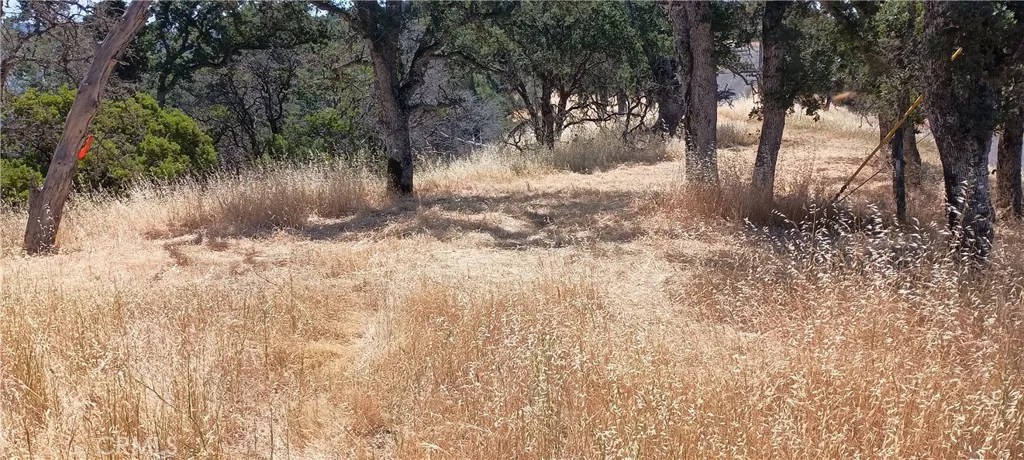 Build site